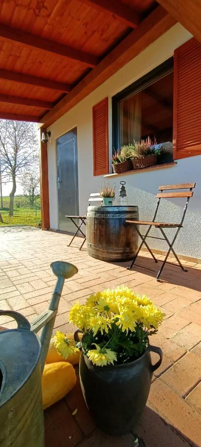 Ferienhaus Smocze Ranczo 3 Ośno Lubuskie