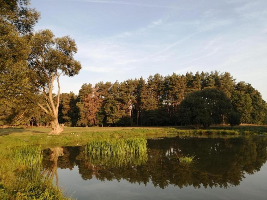 Smocze Ranczo 3 * Ośno Lubuskie